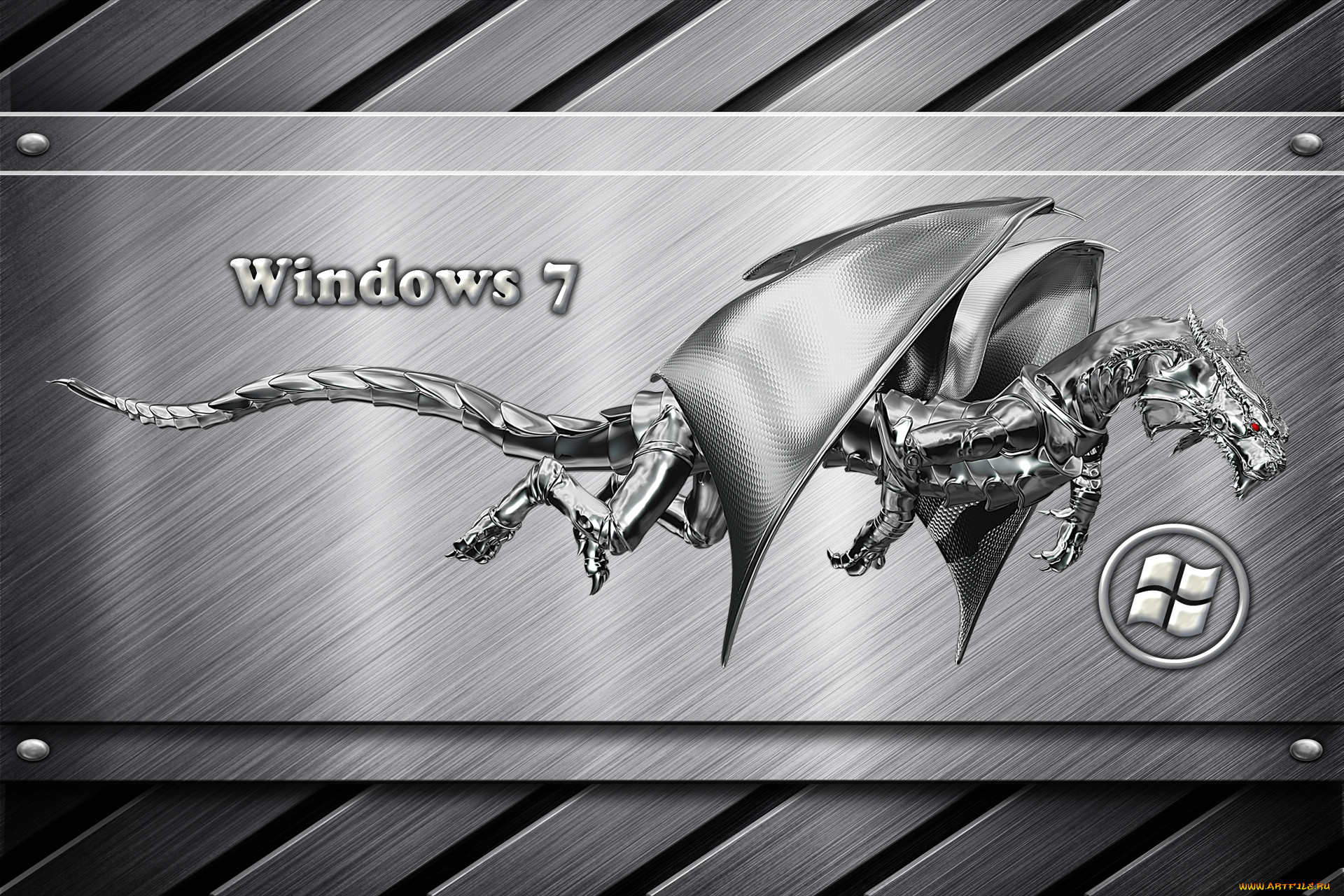 , windows, vienna, , , 